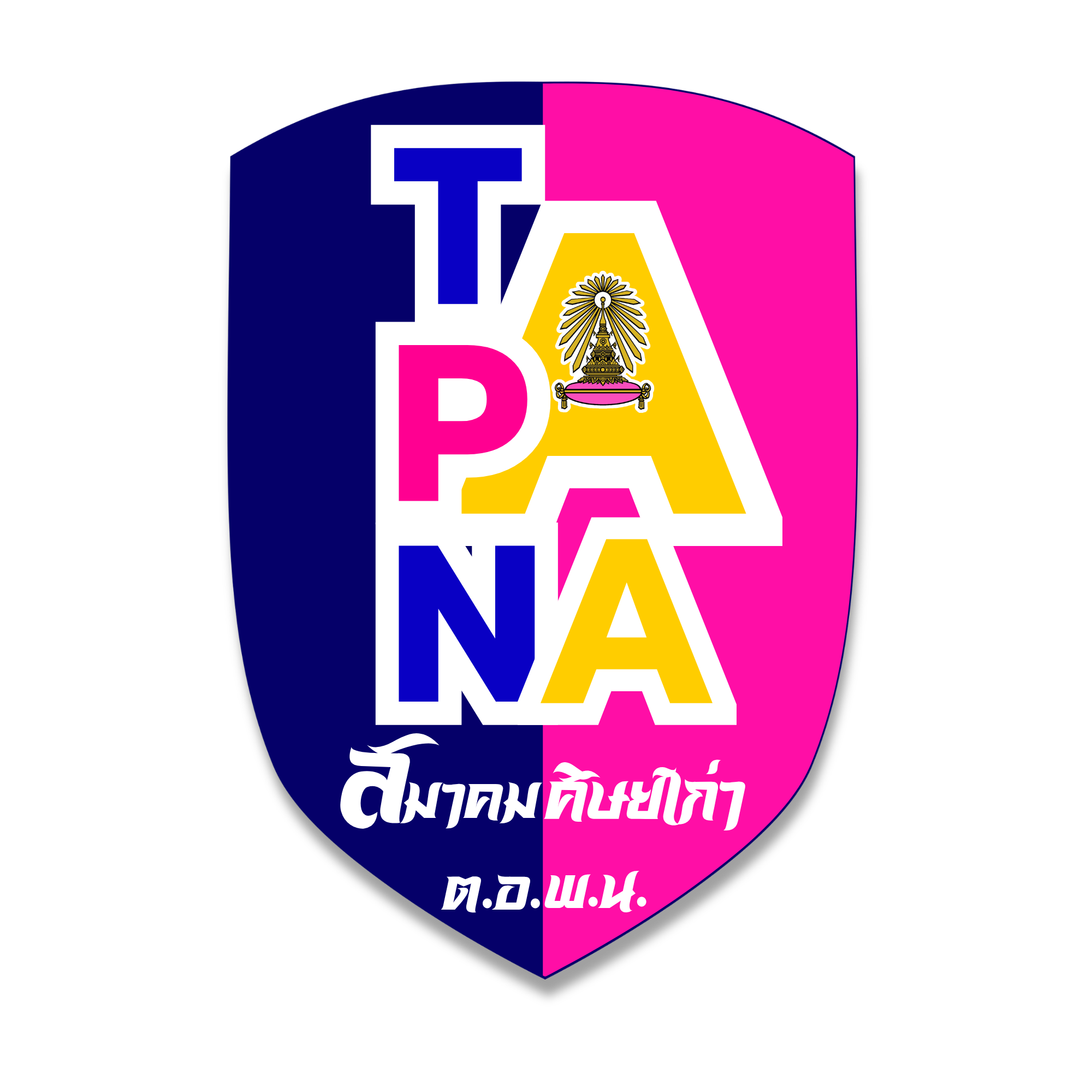TPNAA
